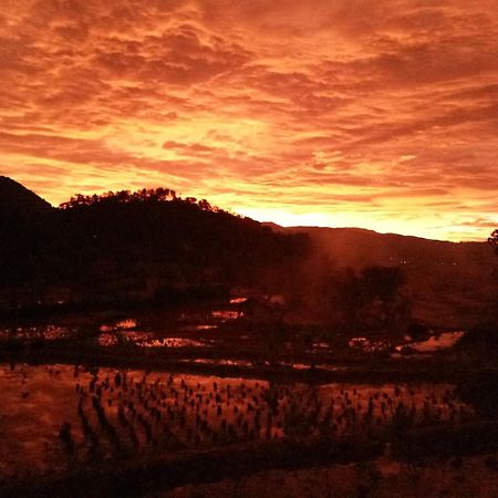 De Salak Homestay Bogor Esterno foto