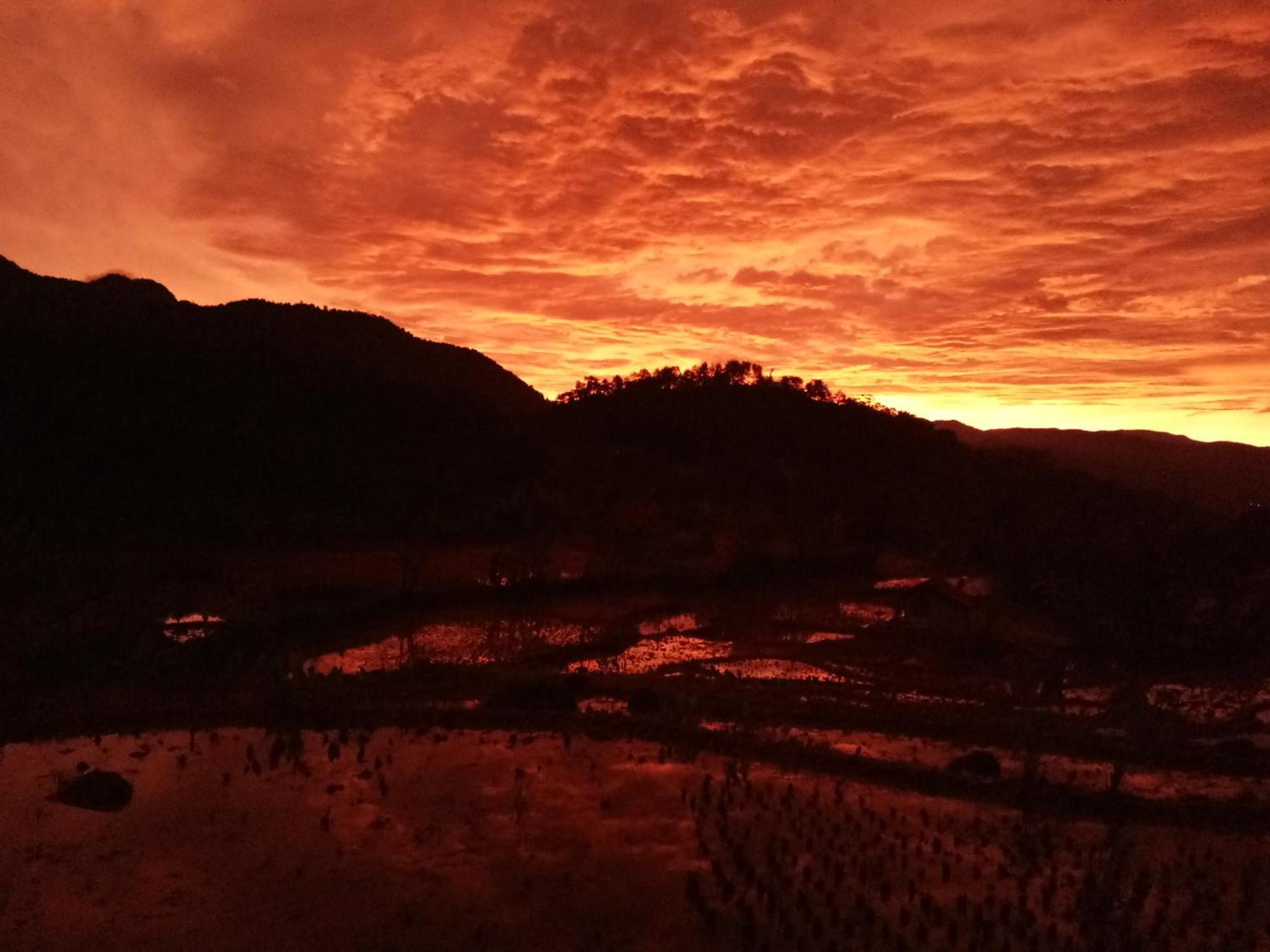 De Salak Homestay Bogor Esterno foto