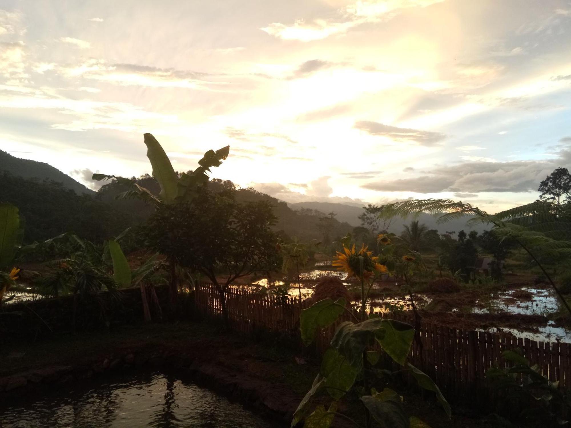 De Salak Homestay Bogor Esterno foto