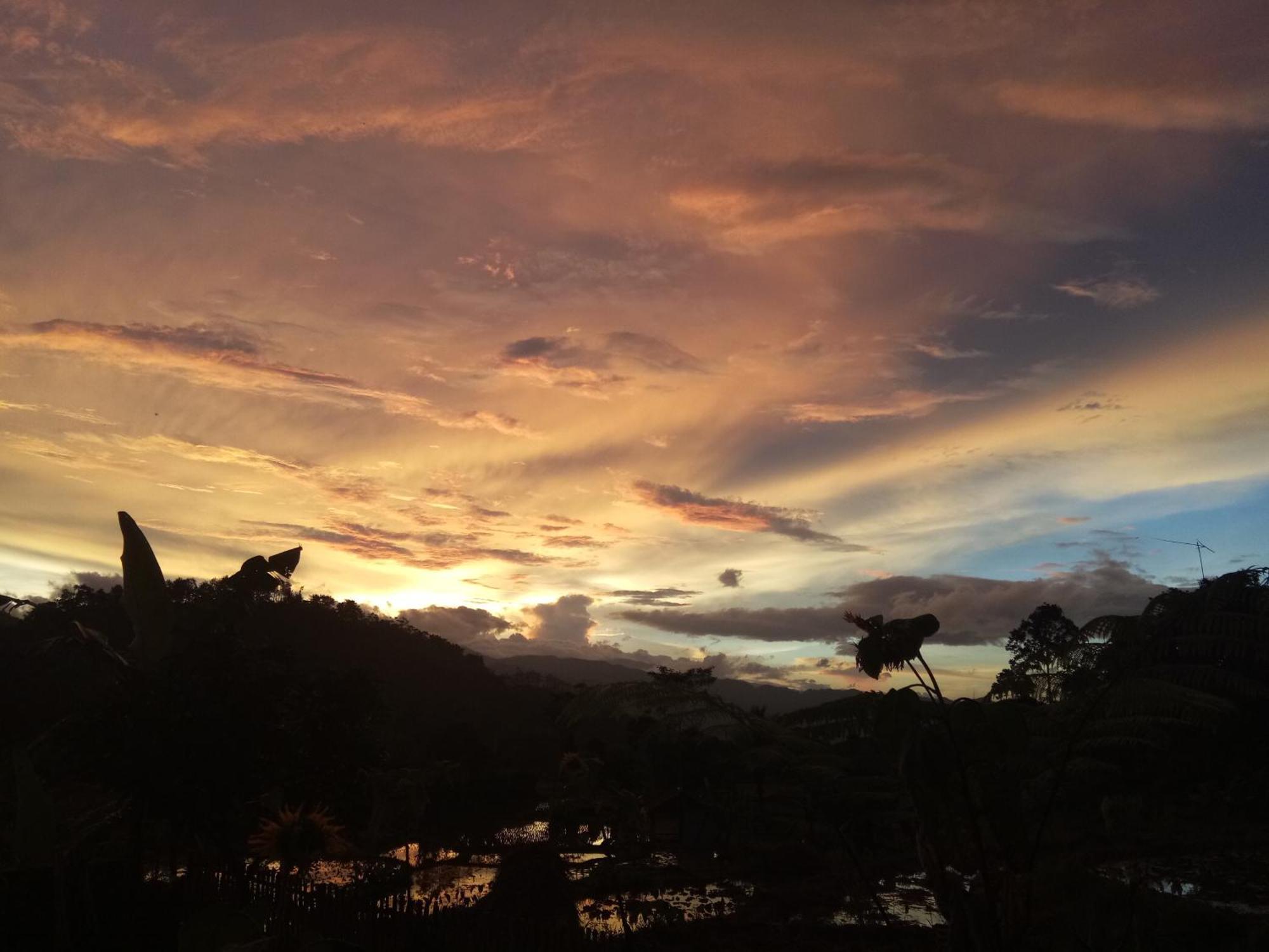 De Salak Homestay Bogor Esterno foto