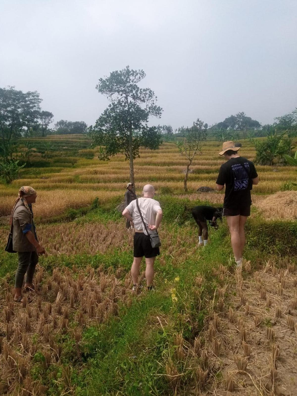 De Salak Homestay Bogor Esterno foto