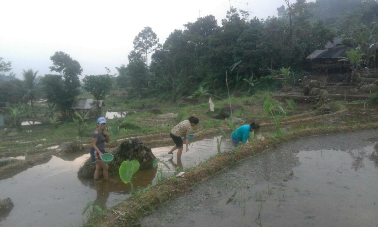 De Salak Homestay Bogor Esterno foto