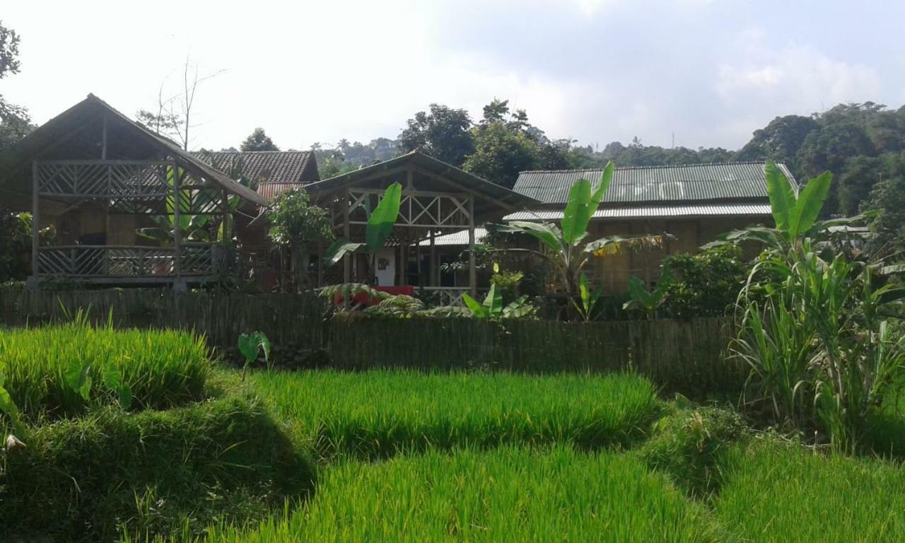 De Salak Homestay Bogor Esterno foto