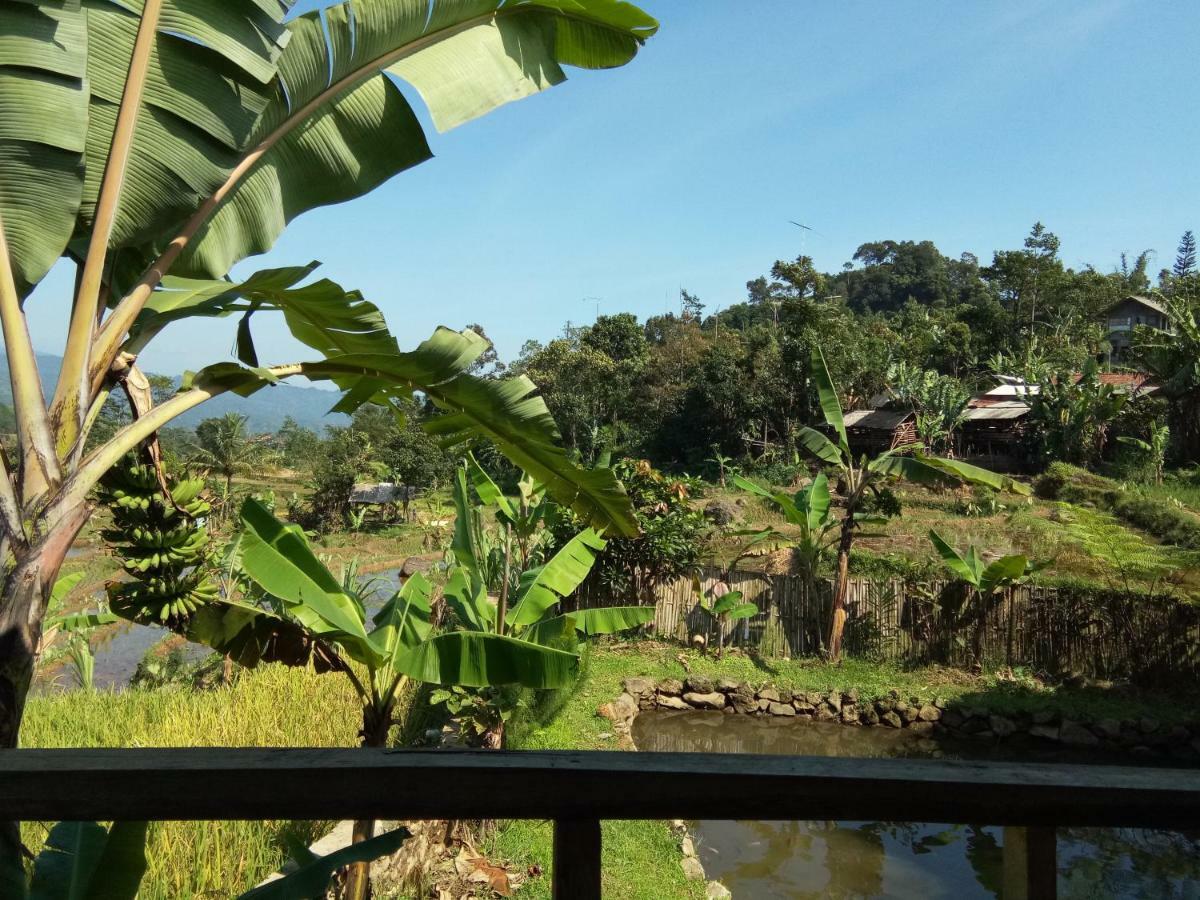 De Salak Homestay Bogor Esterno foto