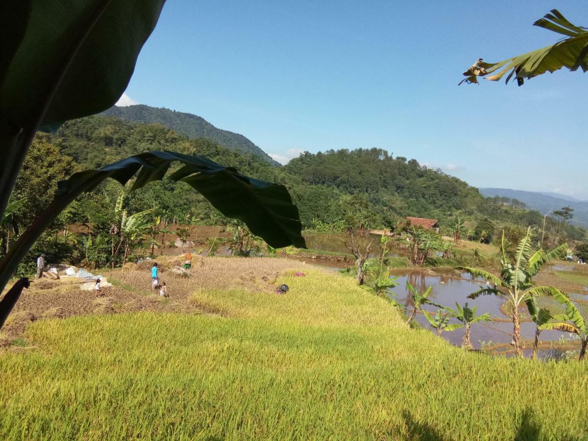 De Salak Homestay Bogor Esterno foto