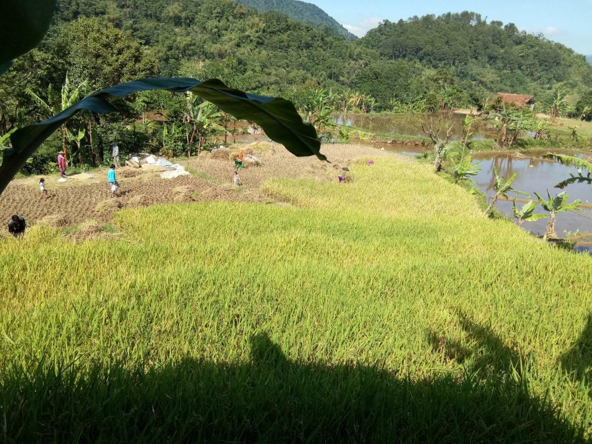 De Salak Homestay Bogor Esterno foto