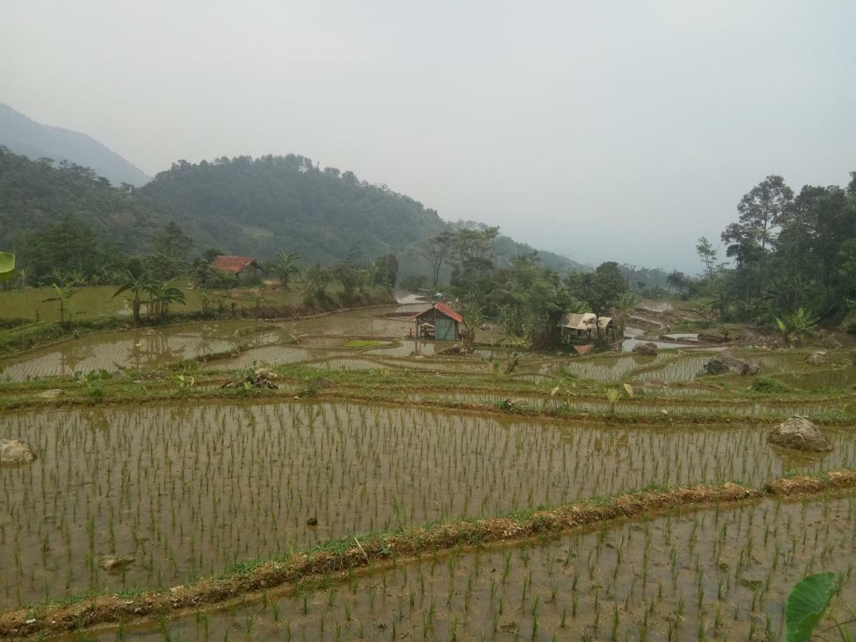 De Salak Homestay Bogor Esterno foto