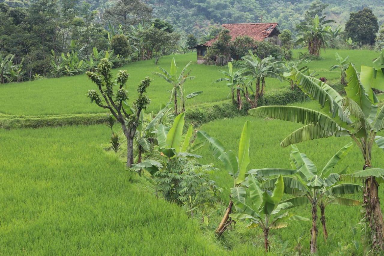 De Salak Homestay Bogor Esterno foto